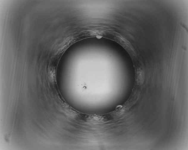 X0000100400329200806131019