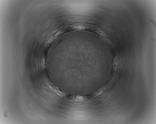 X0000100400330200806131019