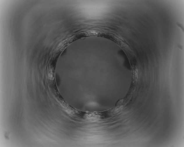 X0000100400331200806131019