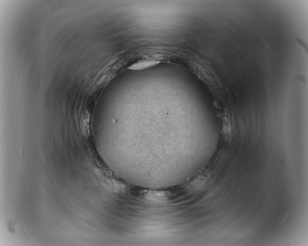 X0000100400332200806131019