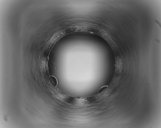 X0000100400333200806131019