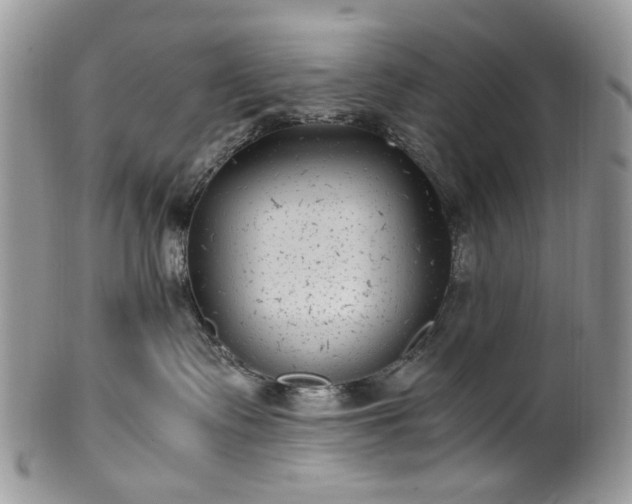 X0000100400335200806131019