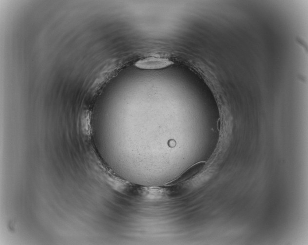X0000100400336200806131019