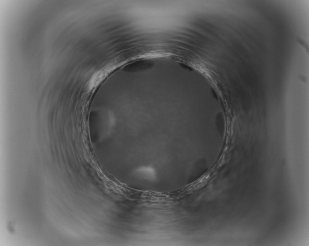 X0000100400337200806131018