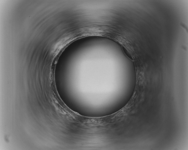 X0000100400338200806131018