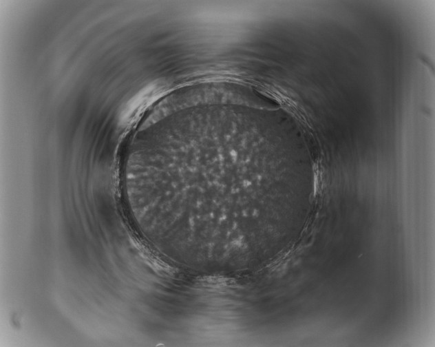 X0000100400339200806131018