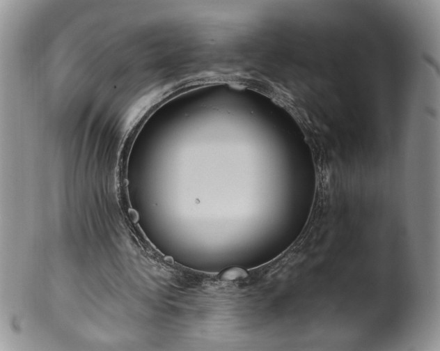 X0000100400340200806131018