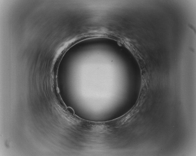 X0000100400342200806131018