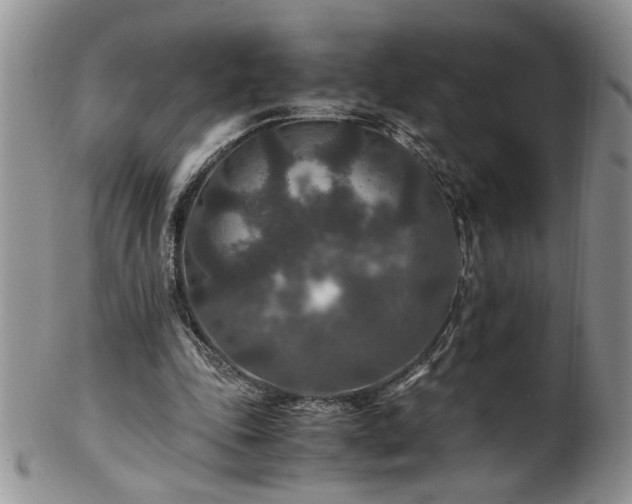 X0000100400343200806131018