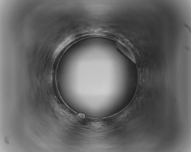 X0000100400344200806131018