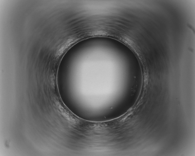 X0000100400345200806131018
