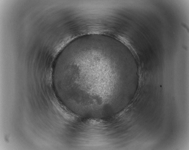 X0000100400346200806131018
