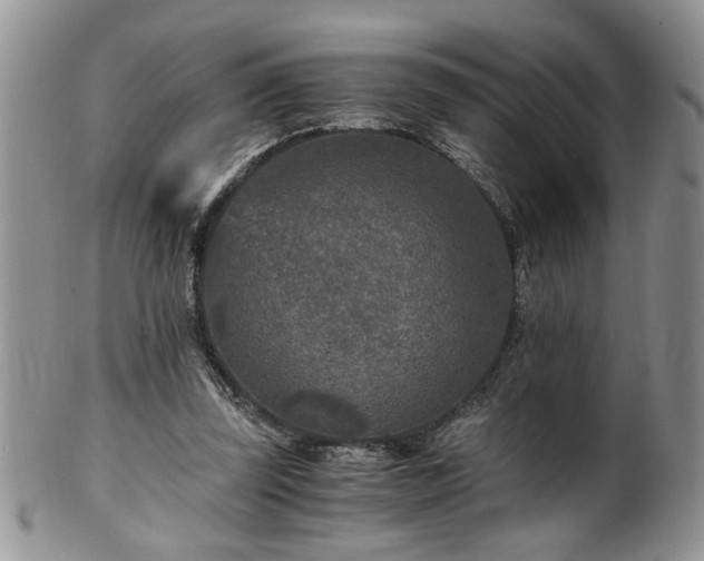 X0000100400347200806131018