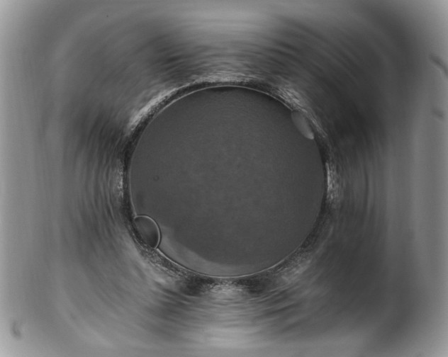 X0000100400348200806131018