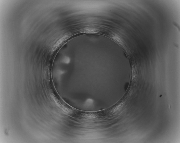 X0000100400349200806131018