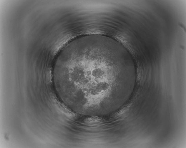 X0000100400351200806131018