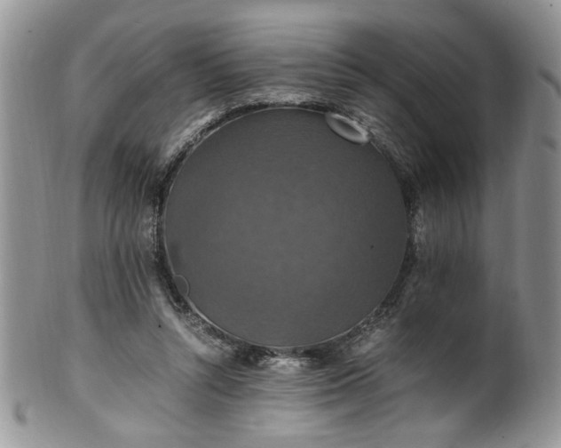 X0000100400352200806131018
