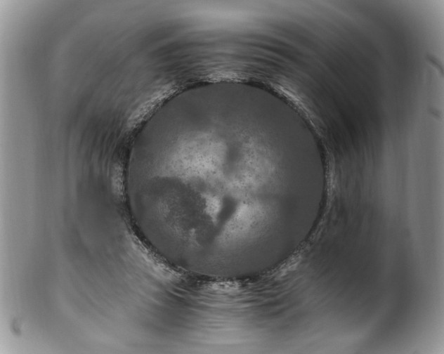 X0000100400353200806131018