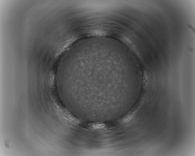 X0000100400355200806131018
