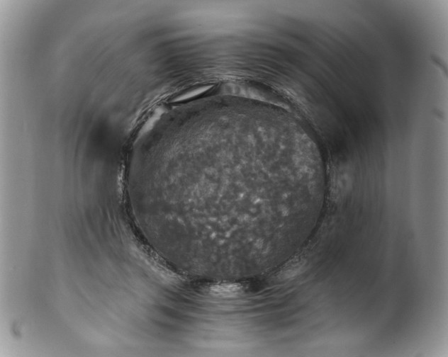 X0000100400357200806131018