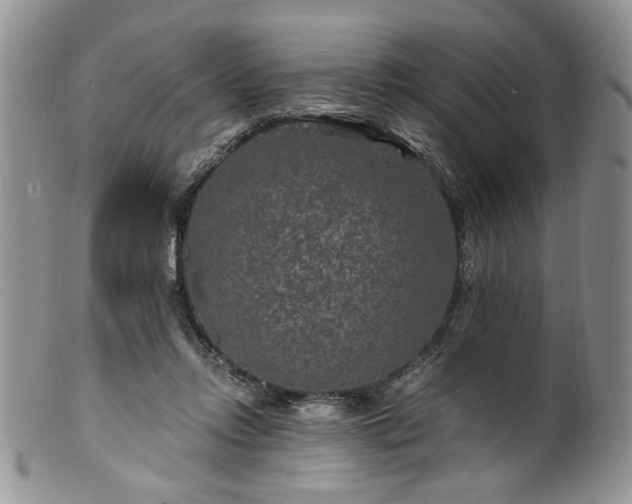 X0000100400358200806131018