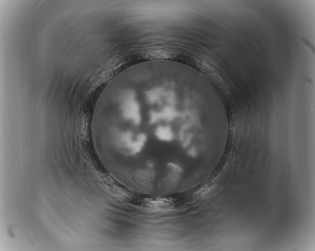 X0000100400359200806131018