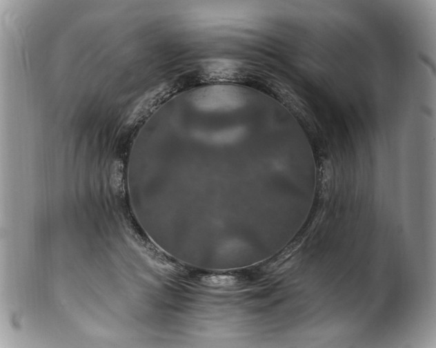 X0000100400361200806131019