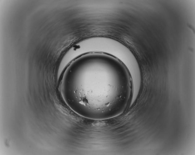 X0000100400362200806131019