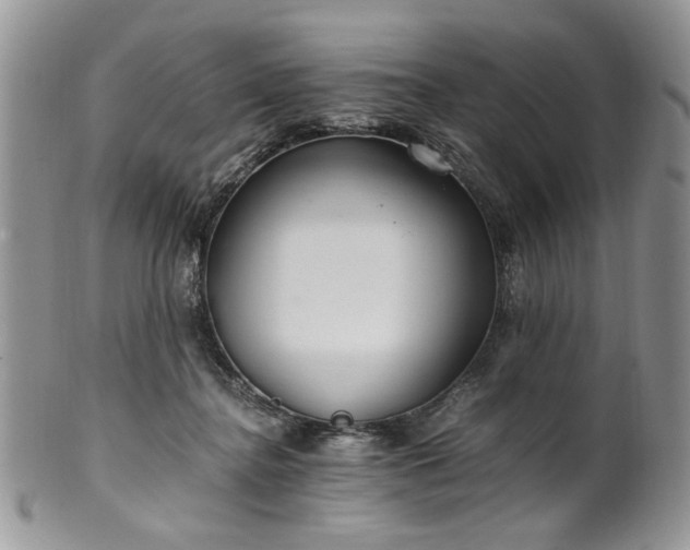 X0000100400364200806131019