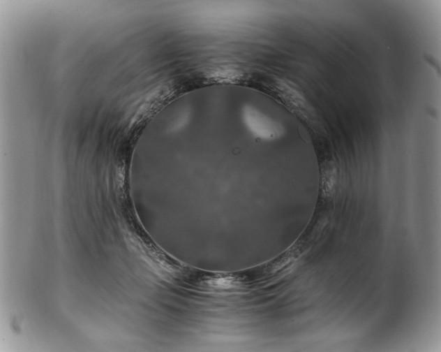 X0000100400365200806131019
