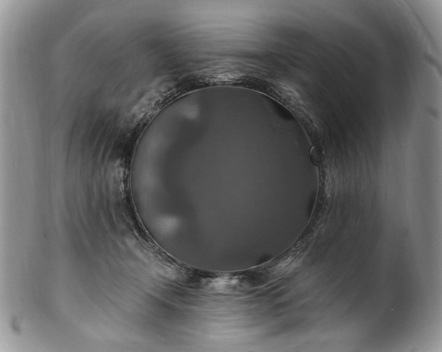 X0000100400366200806131019