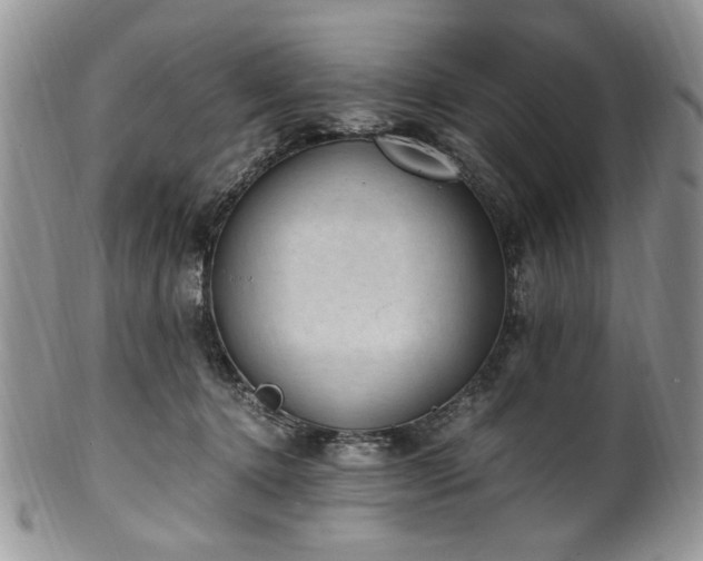 X0000100400368200806131019