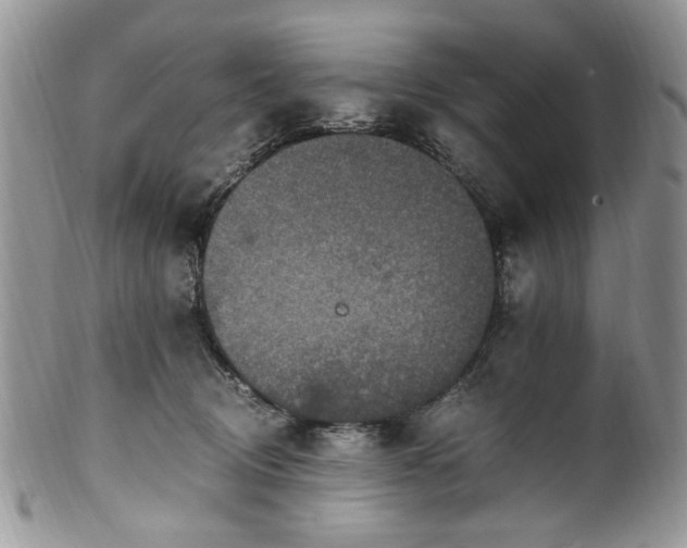 X0000100400370200806131019