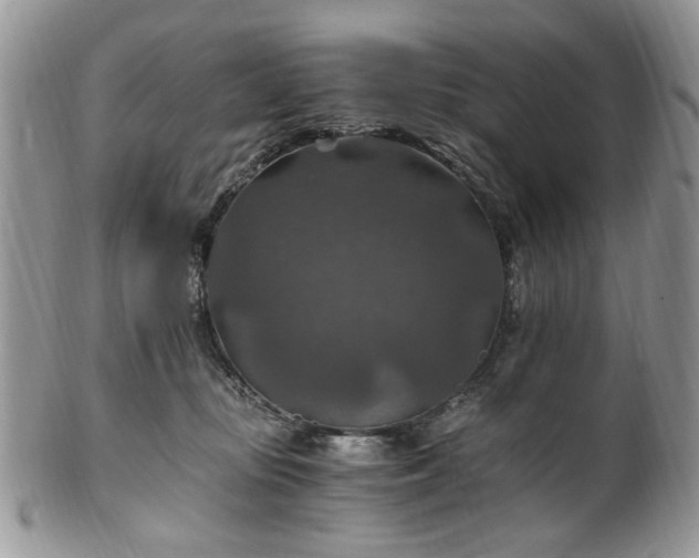 X0000100400371200806131019