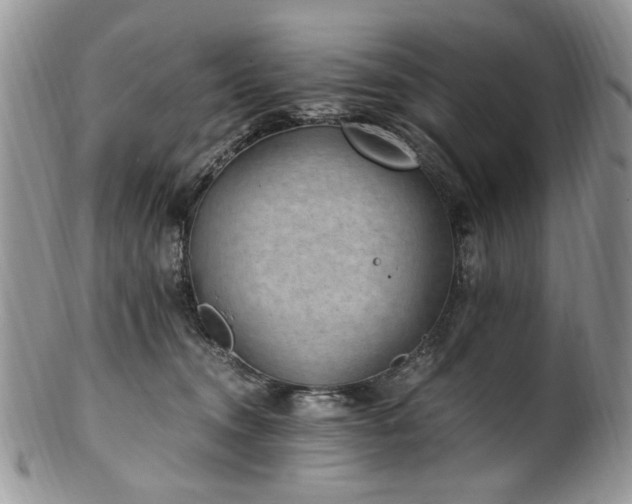 X0000100400372200806131019
