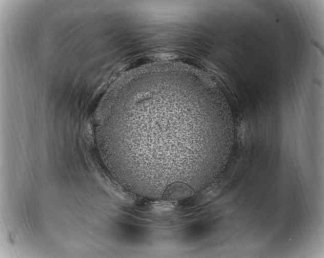 X0000100400373200806131019