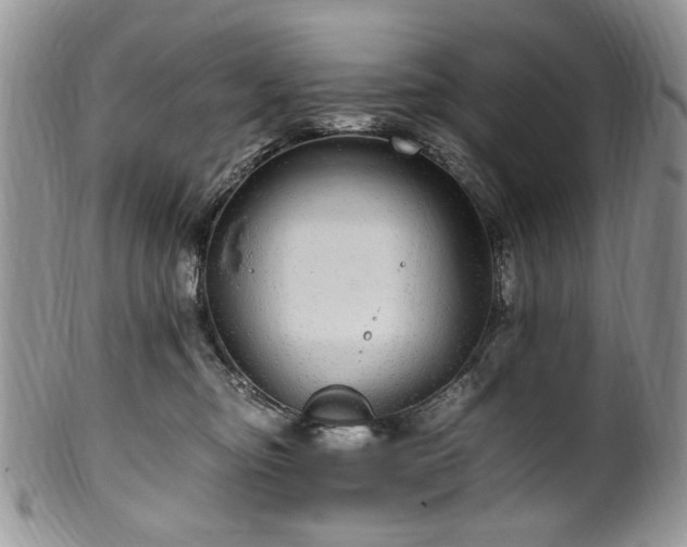 X0000100400374200806131019