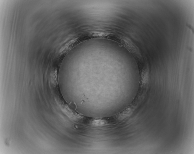 X0000100400376200806131019