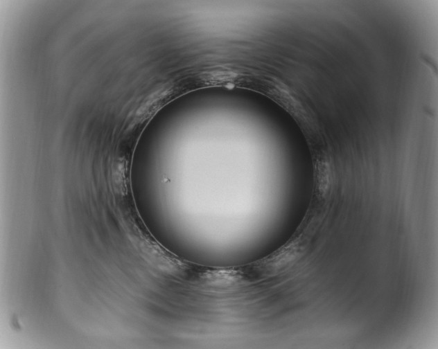 X0000100400378200806131019