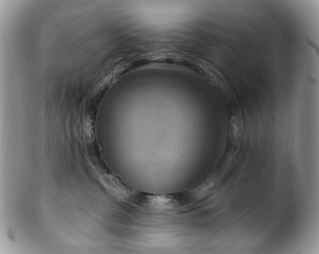 X0000100400380200806131019