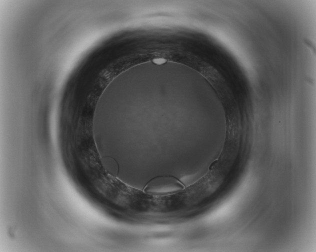 X0000100400383200806131019