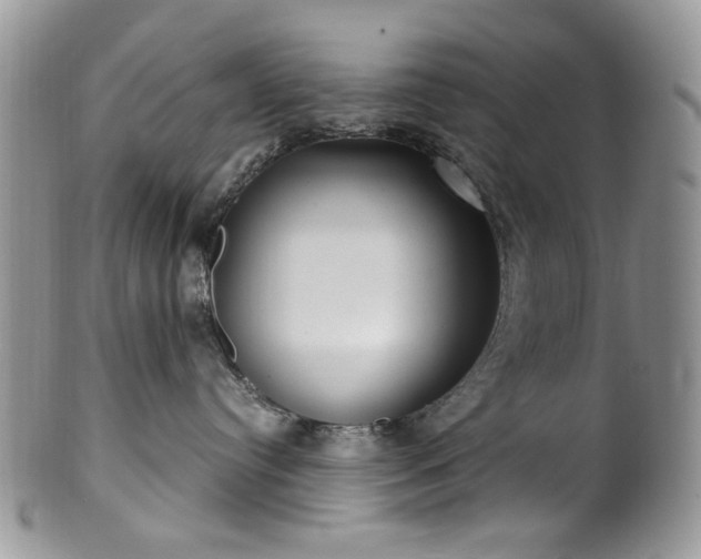 X0000100400384200806131019