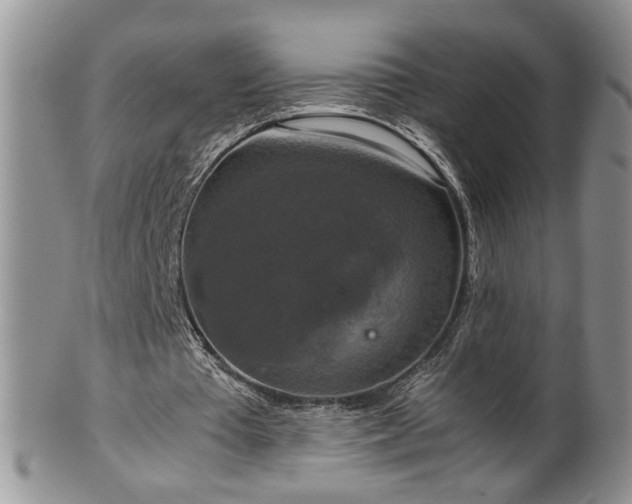 X0000100400385200806131018