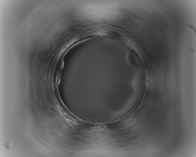 X0000100400386200806131018