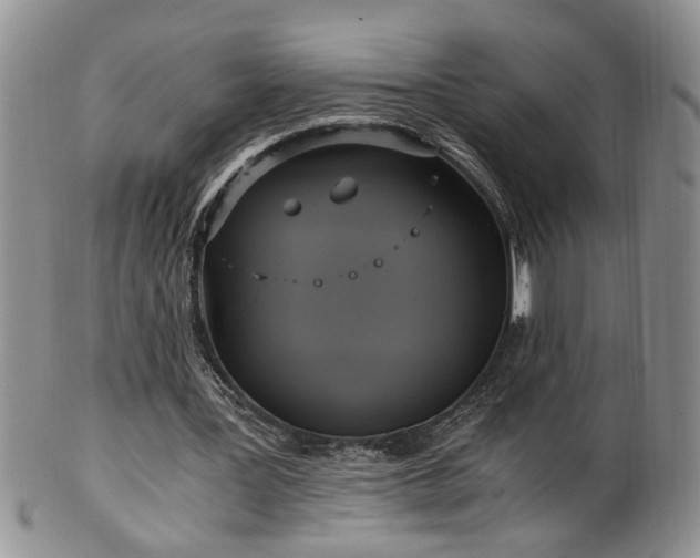 X0000100400387200806131018