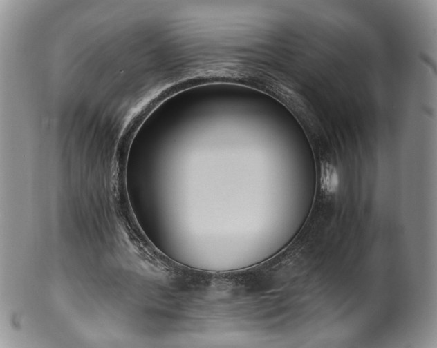 X0000100400388200806131018