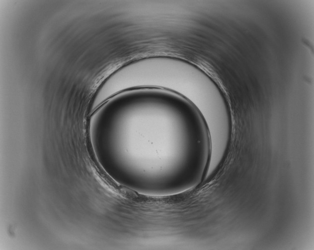 X0000100400389200806131018