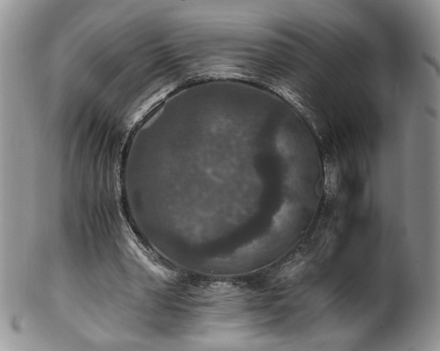 X0000100400390200806131018