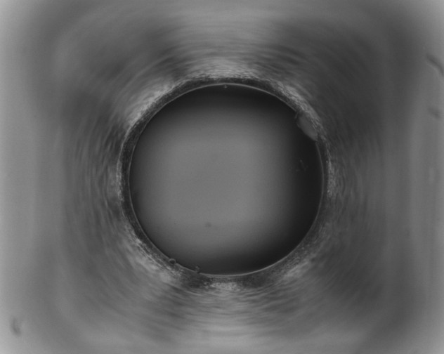 X0000100400391200806131018