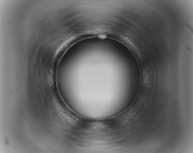 X0000100400392200806131018